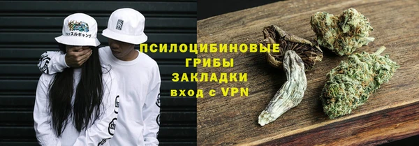 spice Касимов