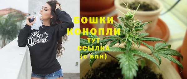 прущие крисы Карпинск